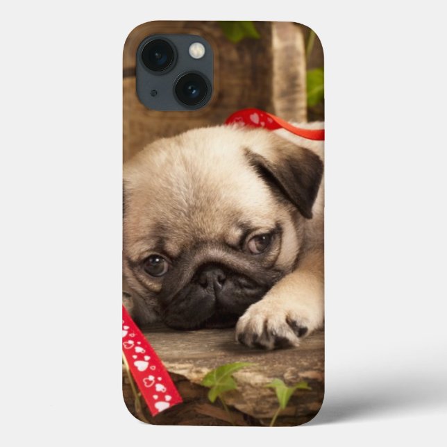 Mops Welpe und Geschenkboxen Case-Mate iPhone Hülle (Rückseite)