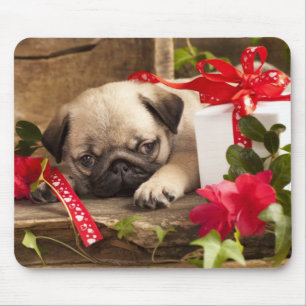 Mops-Welpe und Geschenkboxen Mousepad