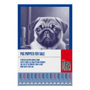 Mops Welpe zum Verkauf Flyer Vorlagen Poster