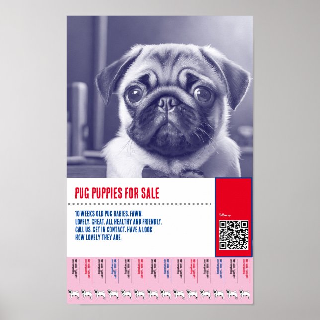 Mops Welpe zum Verkauf Flyer Vorlagen Poster (Vorne)