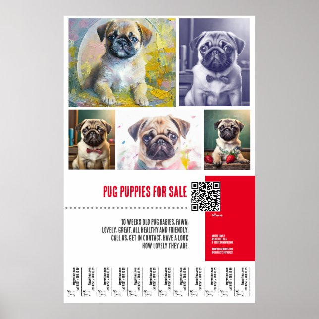 Mops Welpe zum Verkauf Poster-Vorlagen Poster (Vorne)