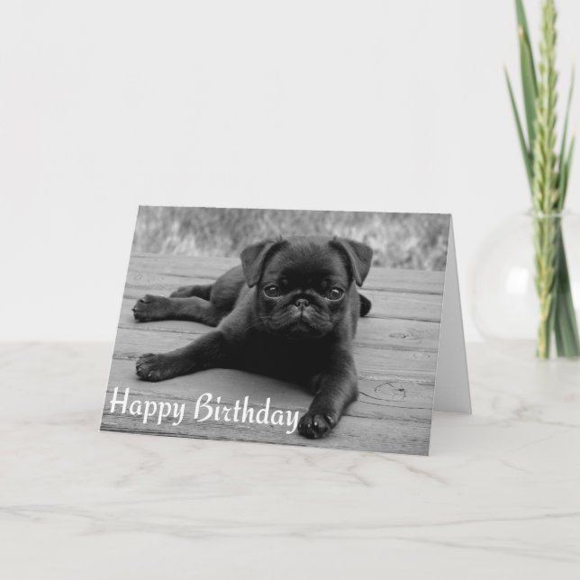 Mops Welpen Happy Birthday Card - Schwarz & Weiß Karte (Vorderseite)