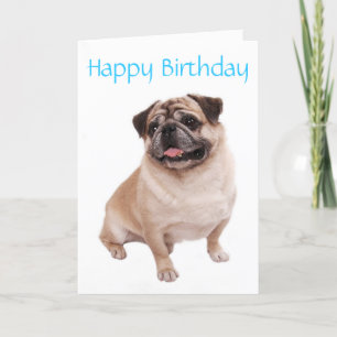 Mops Welpen Happy Birthday Card - Verse drinnen Karte