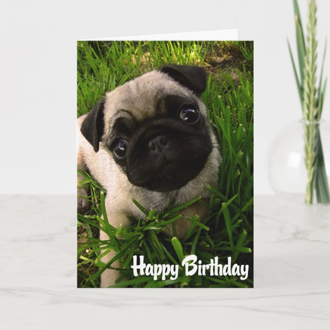 Mops Welpen Hund Happy Birthday Card - Verse drinn Karte (Vorderseite)