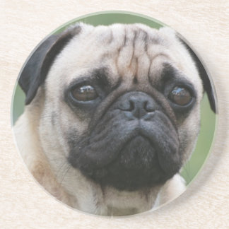 Mops-Welpen-HundeUntersetzer Untersetzer