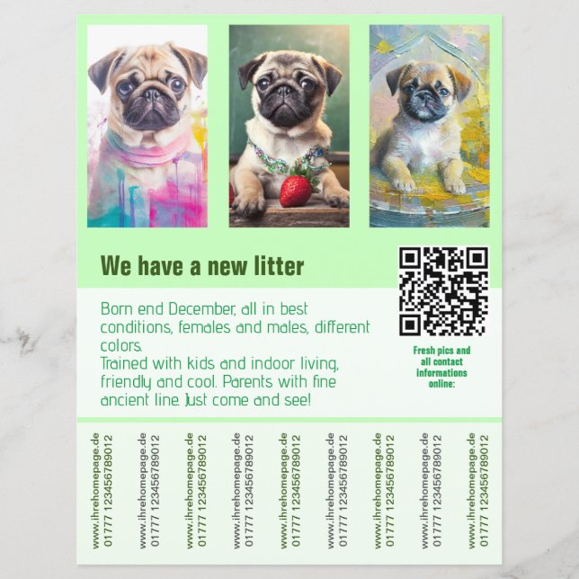 Mops Welpen zum Verkauf Flyer Vorlage QR-Code (Vorderseite)
