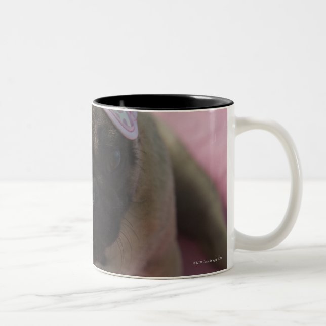Mopshund mit Augenmaske auf dem Kopf, der auf Bett Zweifarbige Tasse (Rechts)