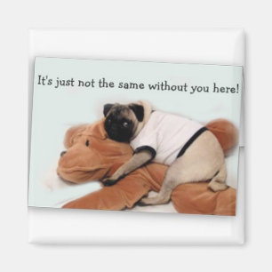 Mopsmagnet Magnet