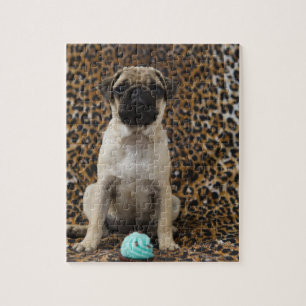 Mopswelpe, der gegen Tierdruck 2 sitzt Puzzle