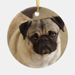 Mopswelpe Keramikornament