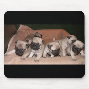 Mopswelpe Mousepad