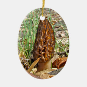 Morchel-Pilz Keramikornament