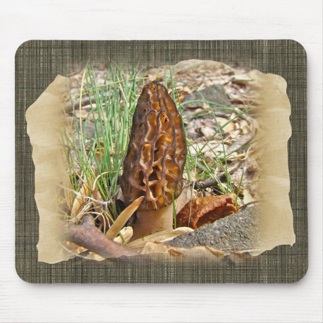 Morchel-Pilz Mousepad (Vorne)