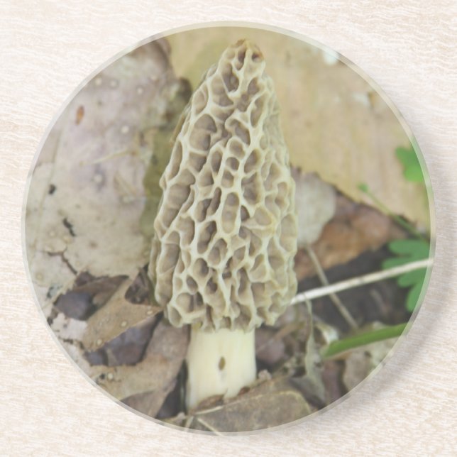 Morchel-Pilz-Untersetzer Untersetzer (Vorne)