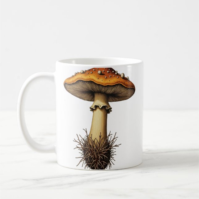 Morchel Teller Kaffeetasse (Links)