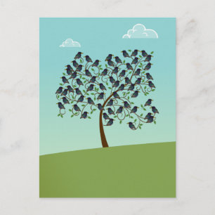 Morden an Starlings Postkarte