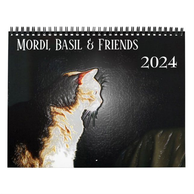 Mordi, Basil & Friends Cat Calendar 2024 Kalender (Titelbild)