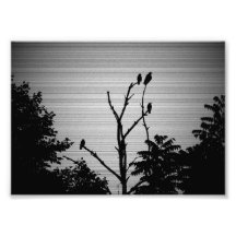 Mordkrähen in einem toten Baum (Gruselige Version)