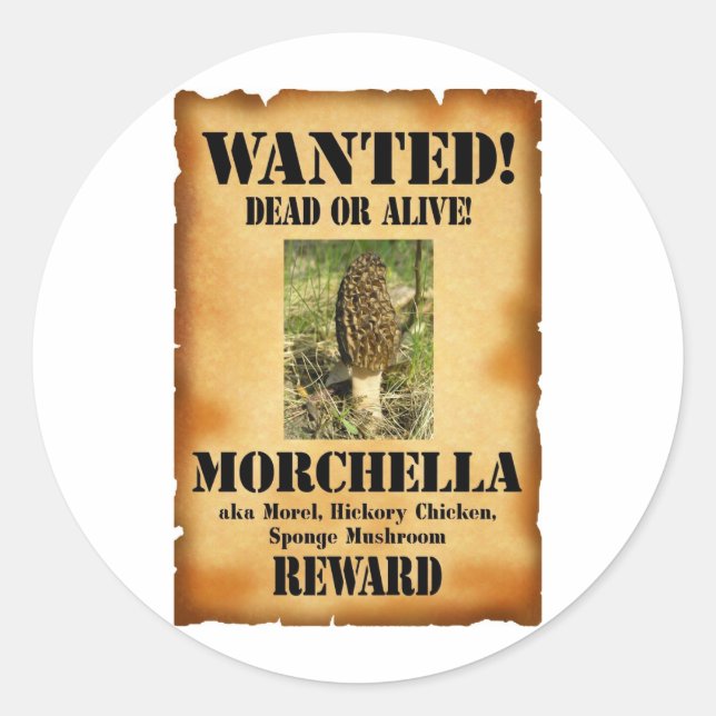 Morel - Gewollt Poster Runder Aufkleber (Vorderseite)