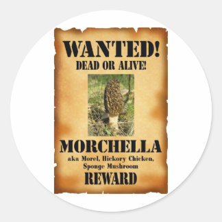 Morel - Gewollt Poster Runder Aufkleber