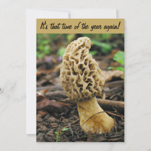 Morel Mushroom Jagd Einladung