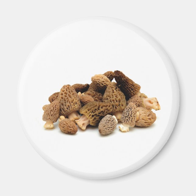 Morel Mushroom Magnet (Vorne)