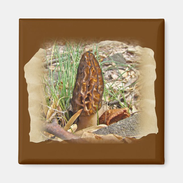 Morel Mushroom Magnet (Vorne)