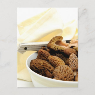 Morel Mushroom Postkarte
