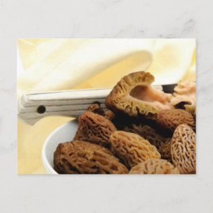 Morel Mushroom Postkarte