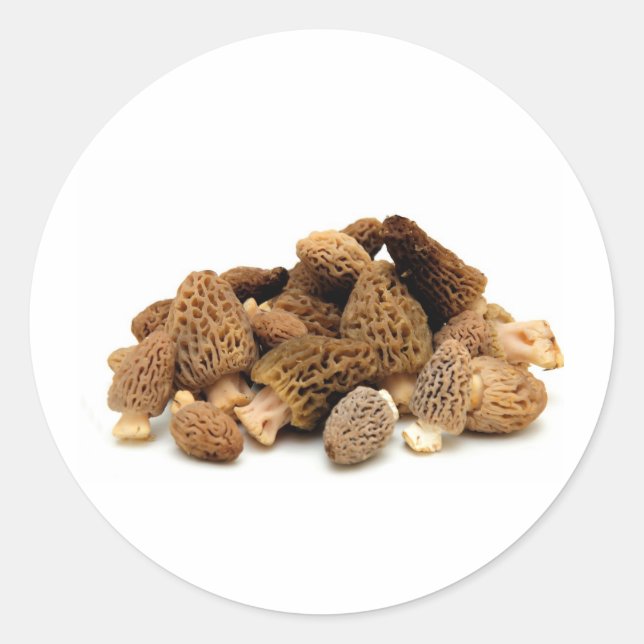 Morel Mushroom Runder Aufkleber (Vorderseite)