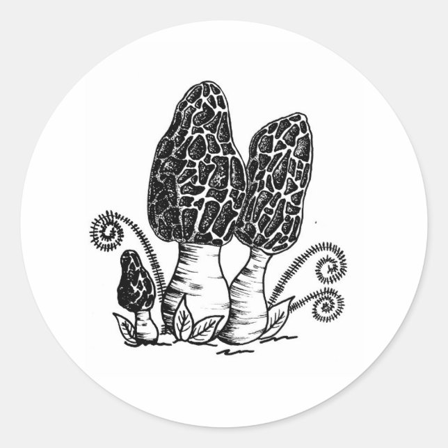 Morel Mushroom Stickers (Vorderseite)