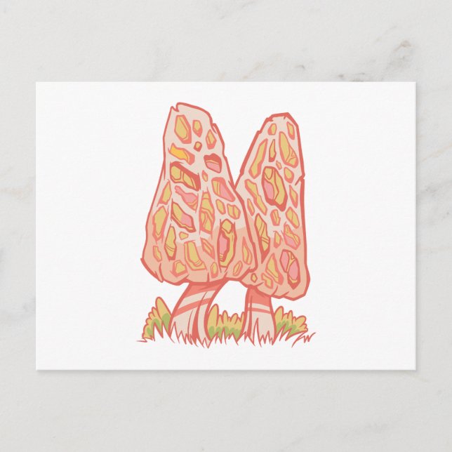 Morel Mushrooms Postkarte (Vorderseite)