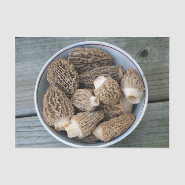 Morel Mushrooms Seidenpapier (Vorderseite)
