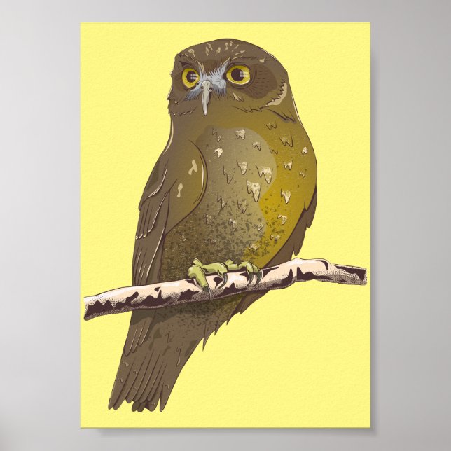Morepork RURU NZ bird Poster (Vorne)