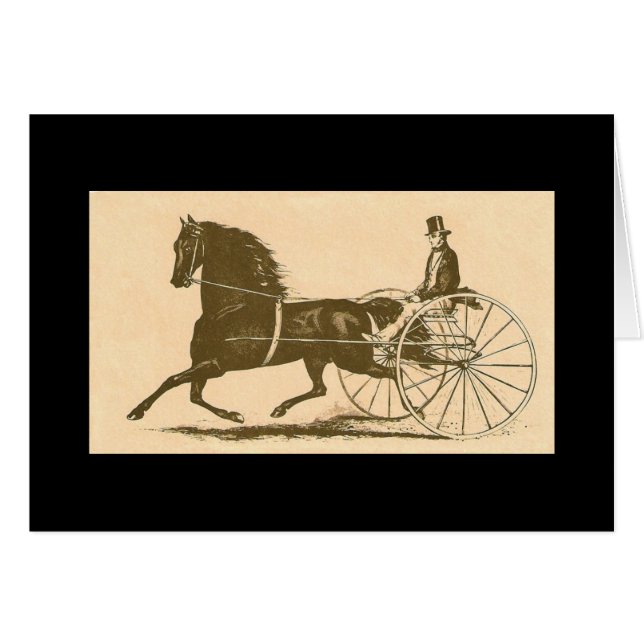 Morgan Americana (Vorderseite (Horizontal))