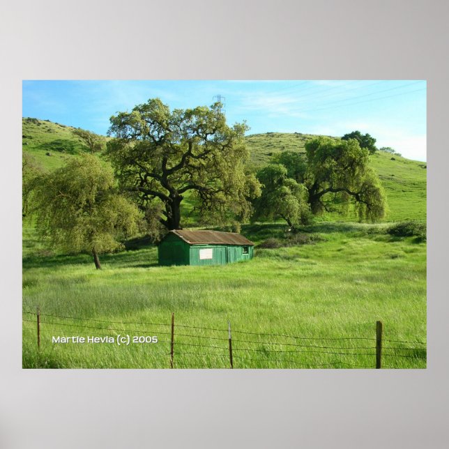 Morgan Hill Meadow Poster (Vorne)
