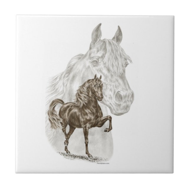 Morgan Horse Art Fliese (Vorderseite)