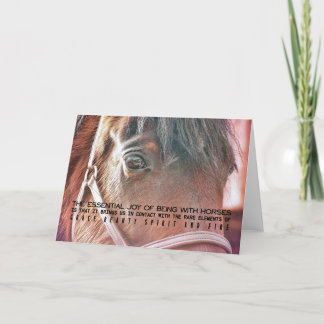MORGAN HORSE Grußkarte Dankeskarte