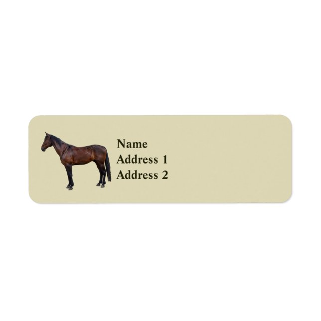 Morgan Horse im Profil (Vorne)