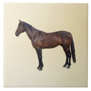 Morgan Horse im Profil Fliese