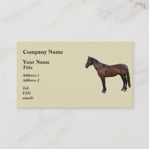 Morgan Horse im Profil Visitenkarte