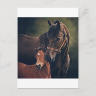 Morgan Mare und Foal Postkarte
