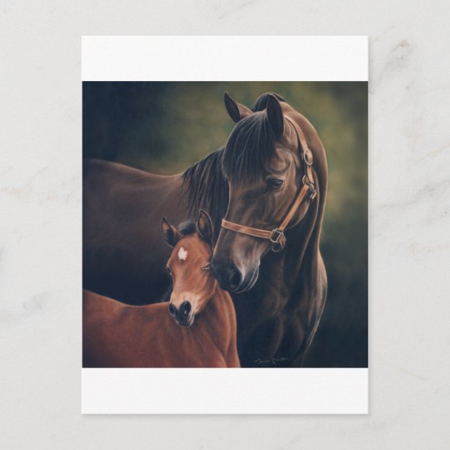 Morgan Mare und Foal Postkarte (Vorderseite)