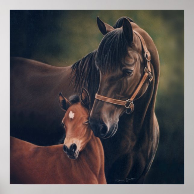 Morgan Mare und Foal von Lynn Peterson Poster (Vorne)