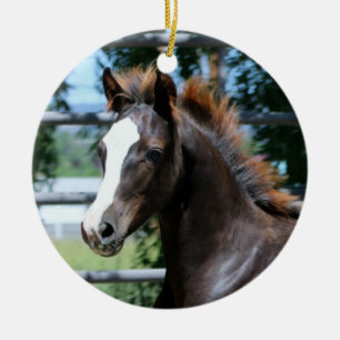 Morgan-Pferdebaby-Verzierung Keramik Ornament