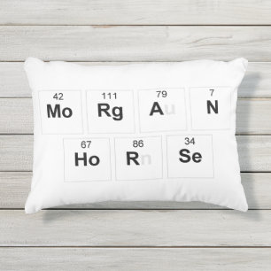 Morgan-Pferdekissen Kissen Für Draußen