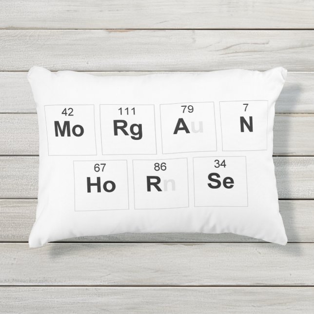 Morgan-Pferdekissen Kissen Für Draußen (Vorderseite)