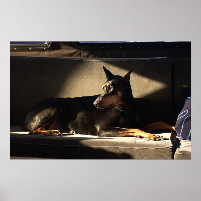 Morgan Poster (Vorne)