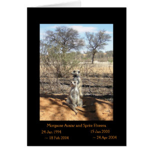 Morgause und Sprite - Legenden-Karte