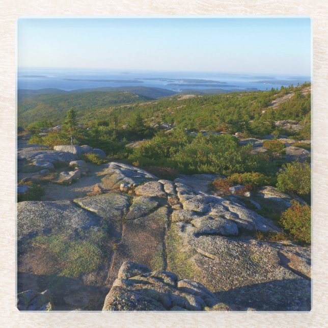 Morgen auf dem Cadillac Mountain in Acadia Glasuntersetzer (Vorderseite)